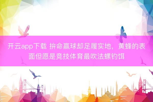 开云app下载 拚命赢球却足履实地，黄蜂的表面但愿是竞技体育最吹法螺钓饵