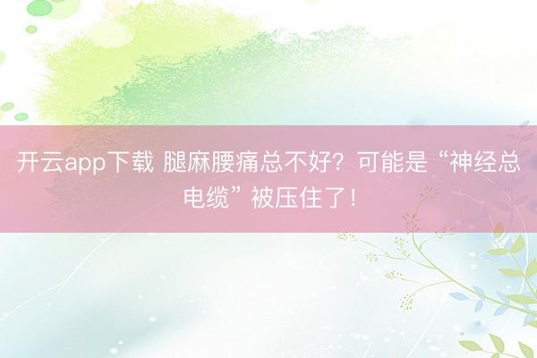 开云app下载 腿麻腰痛总不好？可能是 “神经总电缆” 被压住了！